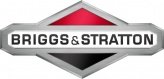 Briggs and Stratton