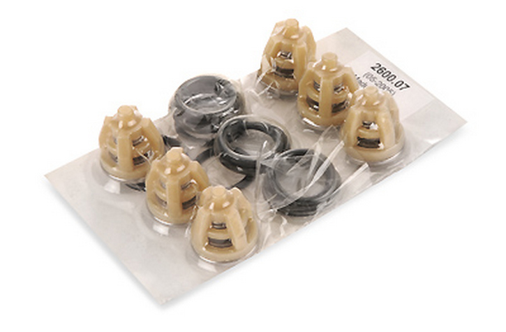 НАБОР КЛАПАНОВ В СБОРЕ