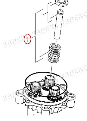 Плунжер с пружиной